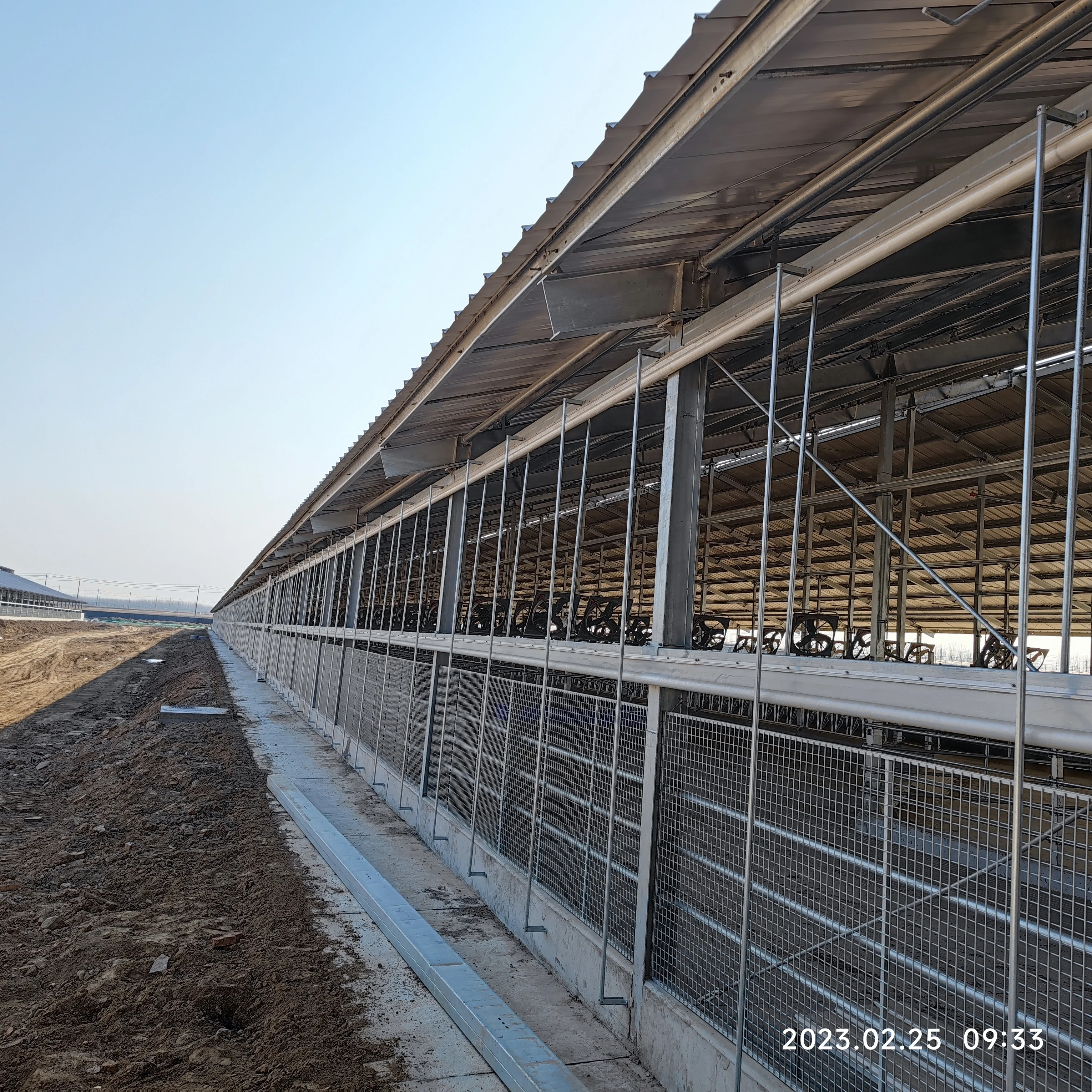 Steel farm house steel structure building for breeding horse goat cow