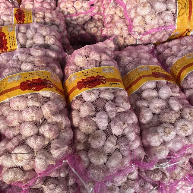 Garlic Price Per Ton Fresh Garlic New Crop Garlic Wholesale From China  6.0cm Export Egypt