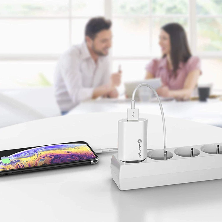 Custom Oem Odm Service Obastyle Abs White Usb Travel Wall Charger