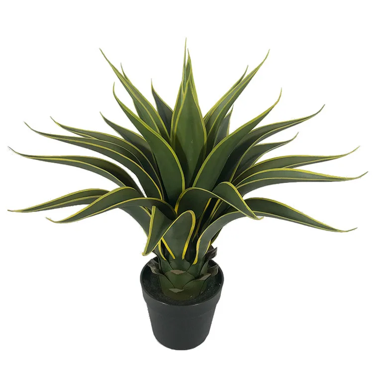 High quality desert plant artificial plant tropical small crown orchid succulent agave gladiolus sisal sisal
