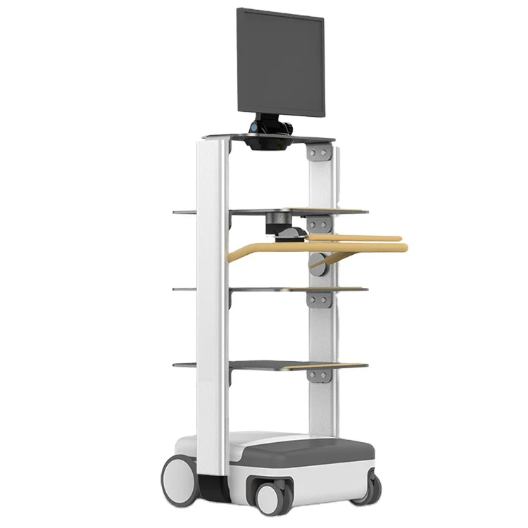 Height adjustable trolley for camera endoscope