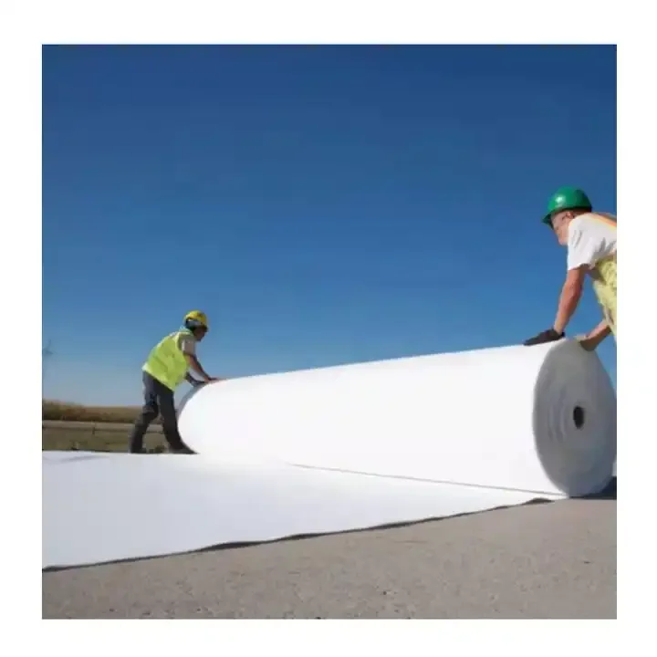 Non Woven Polypropylene Geo Fabric Needle Punch Nonwoven Knitted Geotextile for Highway