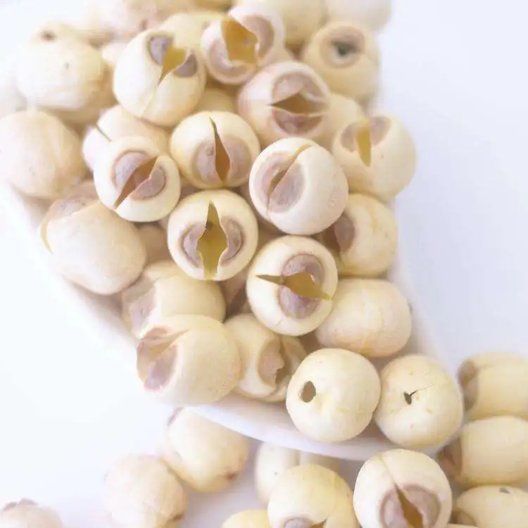 New Crop High Quality Dried White Lotus Seeds Without Core From China