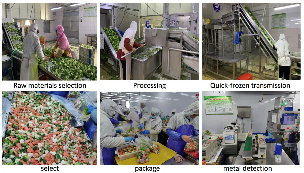 IQF замороженная смесь овощей Vegget