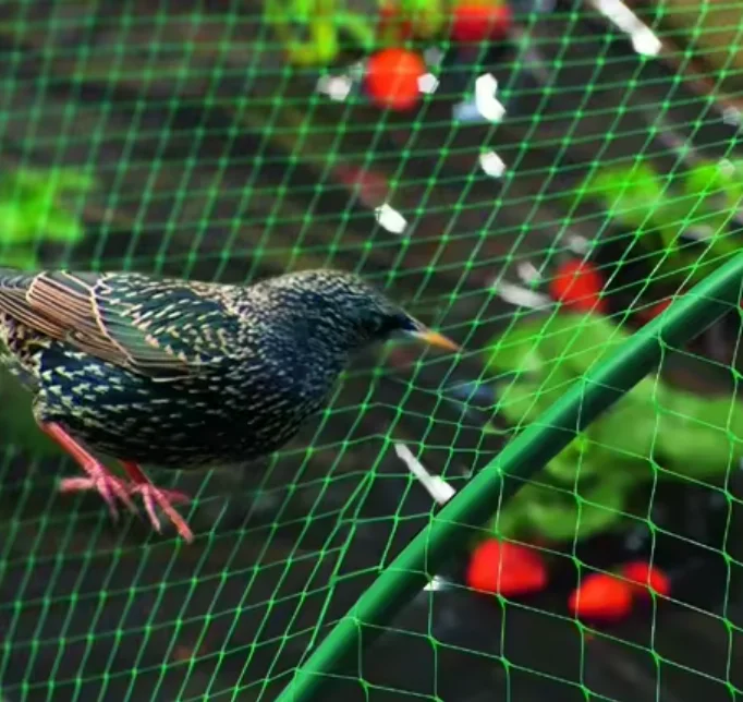 Wholesaler cheap price anti bird netting plastic catch bird netting control bird netting
