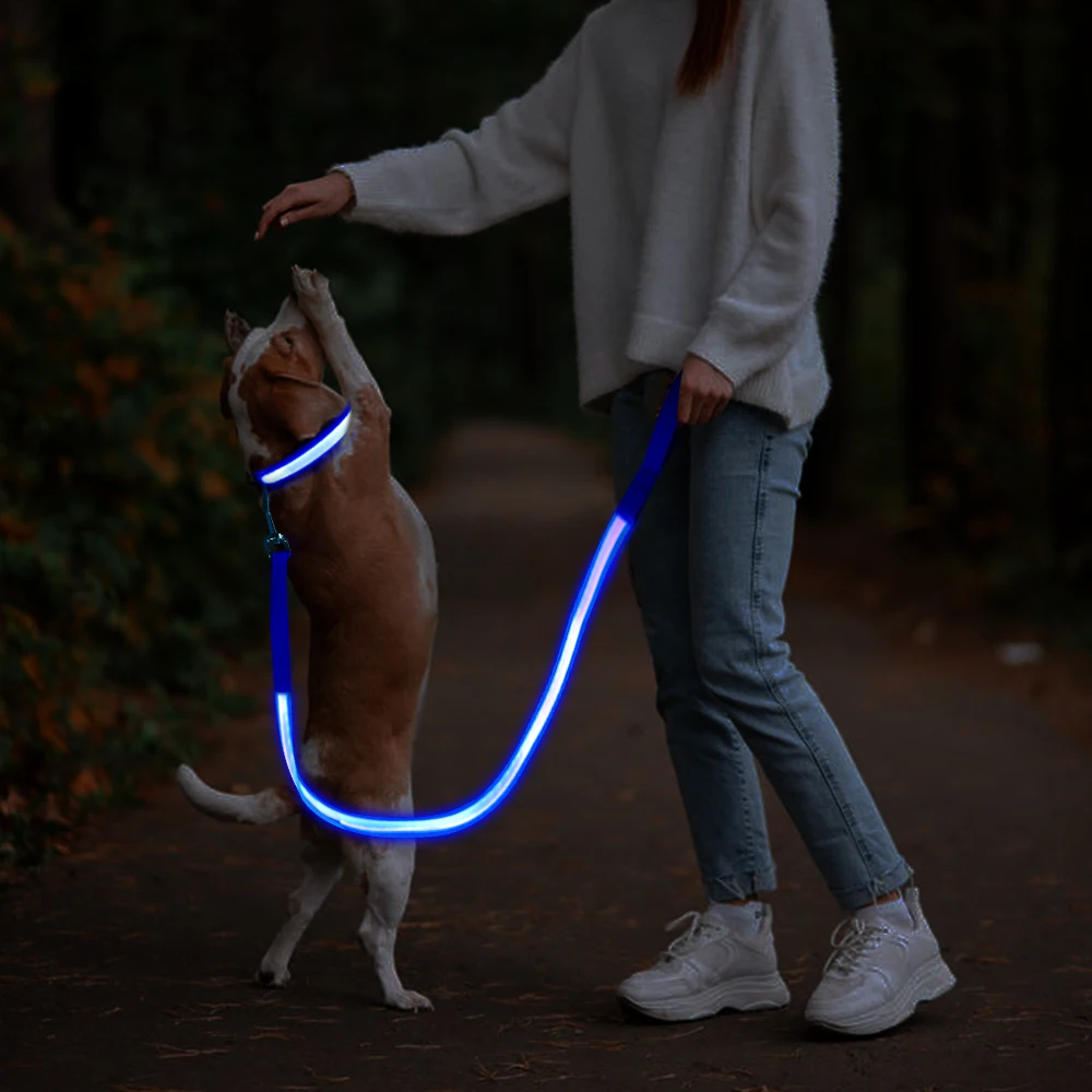 Wholesale New Product Lighting Walking Night Glowing USB Rechargeable LED Dog Leash