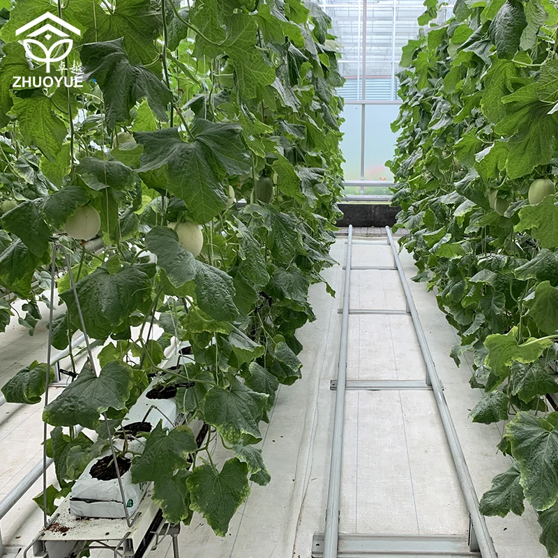 China supplier agricultural greenhouses plastic film tunnel tomato vegetable seeds nursery single-span greenhouse