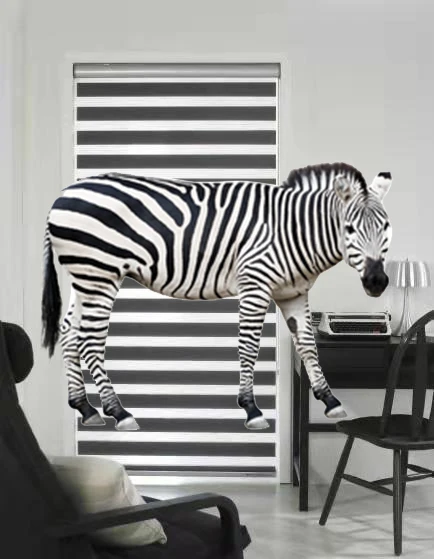 App Smart Alexa Automatic Dual Motorized Roller Blind  Wifi Blinds Motorized automatic Zebra shades