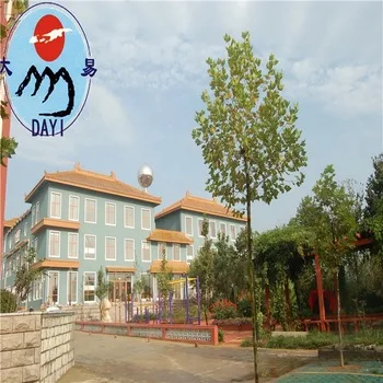 DY-2052 cyclomethicone and  silicone for hair care