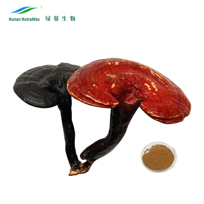 Reishi Mushroom Shell-broken Spore Powder 98% Wall-breaking