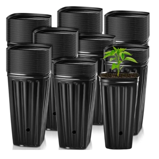 PE Black Mini Tree Pots and Trays