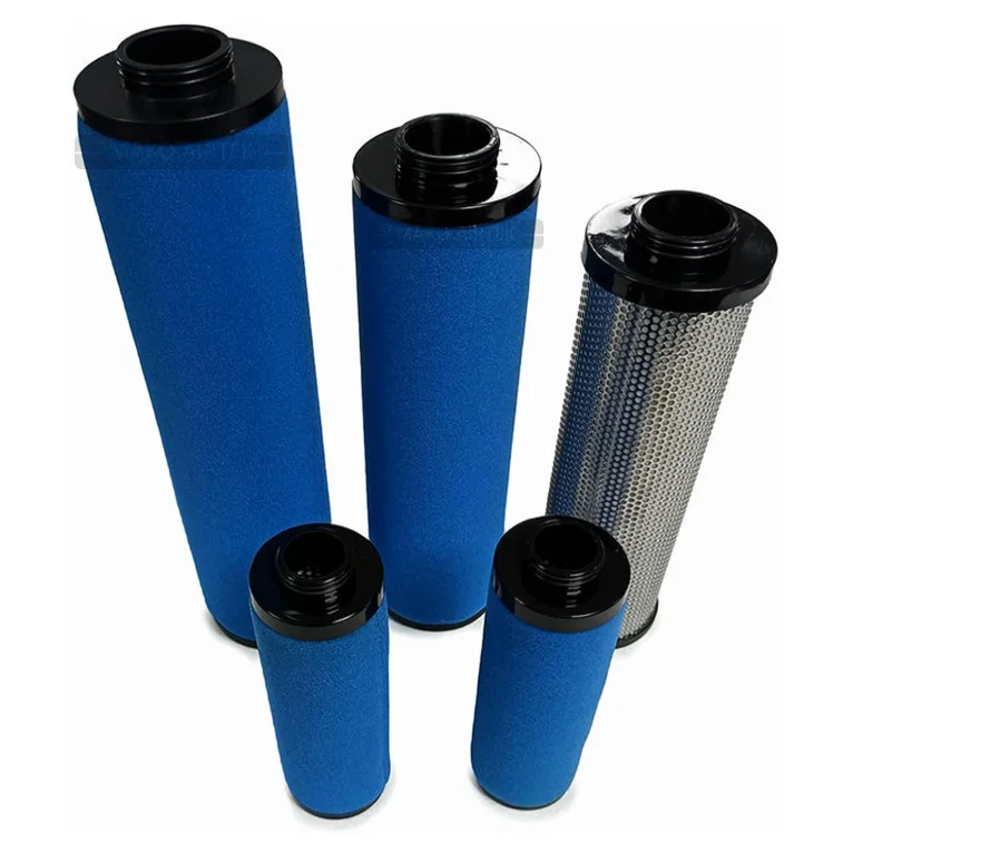 1C027106 P-SMF O 4/2 UF PLUG Viton BAM Industry Air Filter Element SS304 With Housing