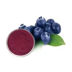 bilberry extract powder 25% 36%
