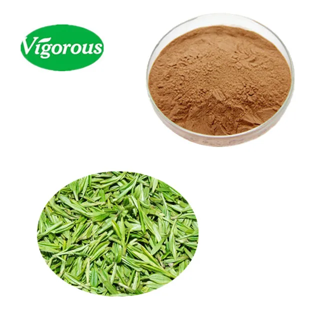 100% pure green tea extract/green tea extract bulk/decaffeinated green tea extract