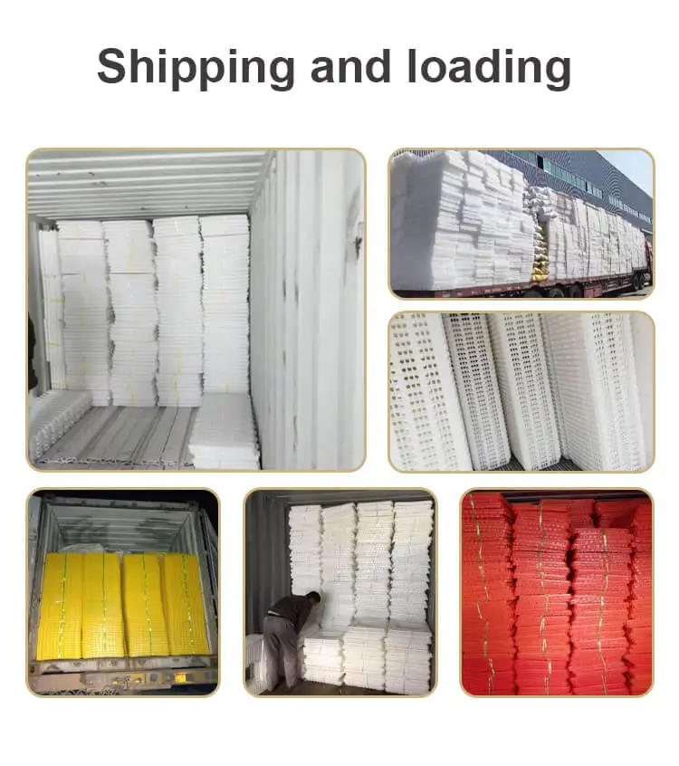 Poultry pack and transport