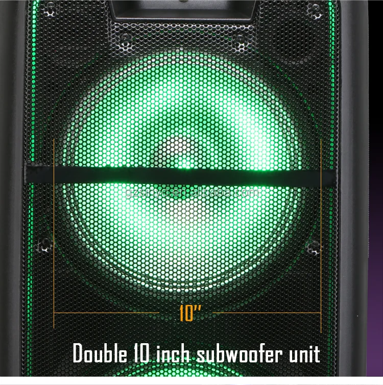 double 10inch  trolley   hot sell low price outdoor portable speaker system with usb charger