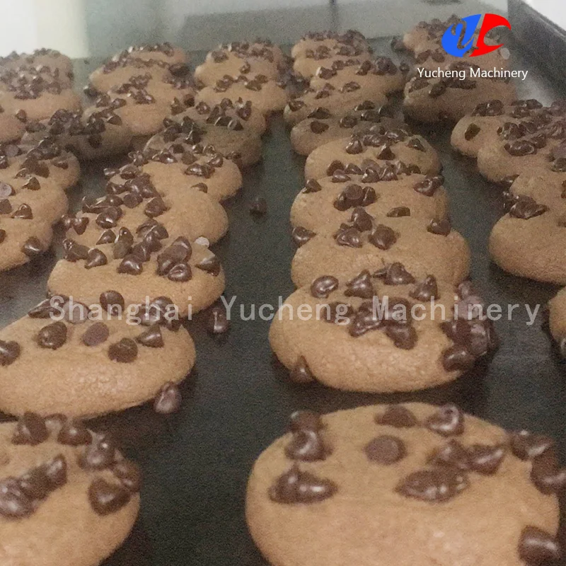 Multifunctional Factory Use Snack Bakery Chocolate Cheese Butter Filling Cookie Extrude Encrusting Machine
