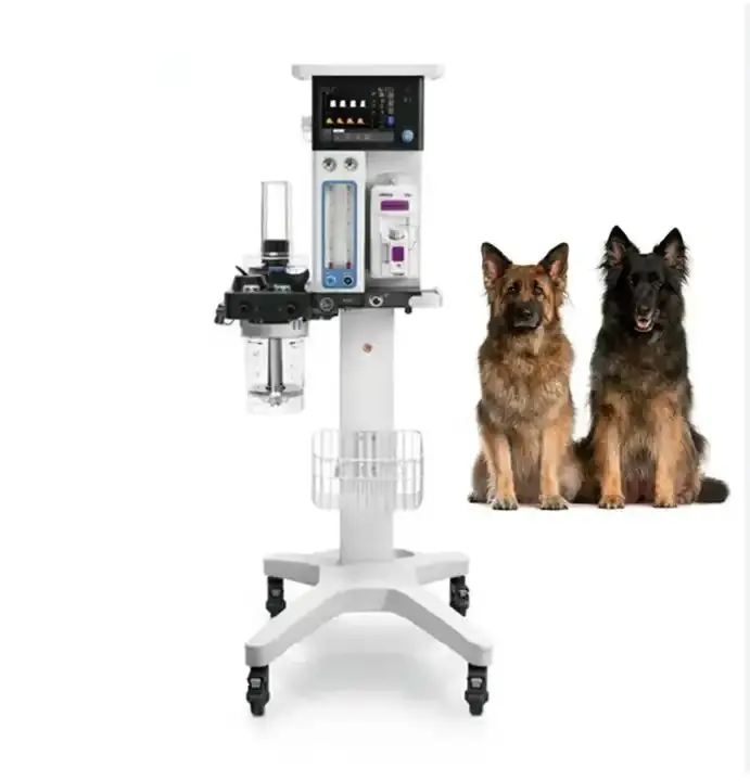 Emergency Ventilator Anesthesia machine for vet Trolley anesthesia general machine pet anesthesia machine