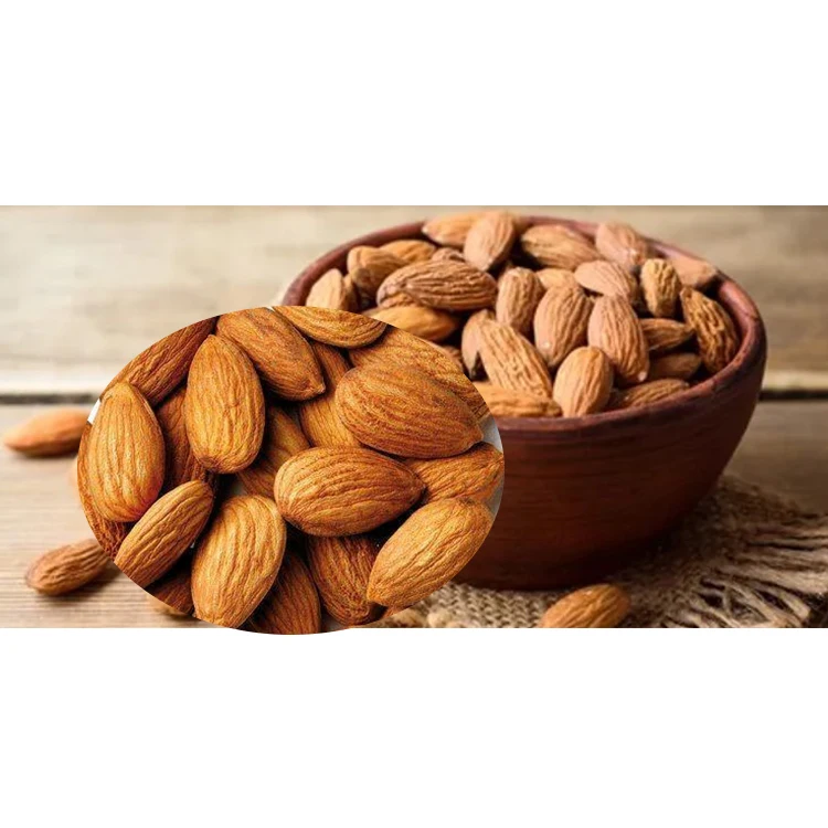 
Healthy Top Grade Organic Almond Kernels Dried Almond Nuts 