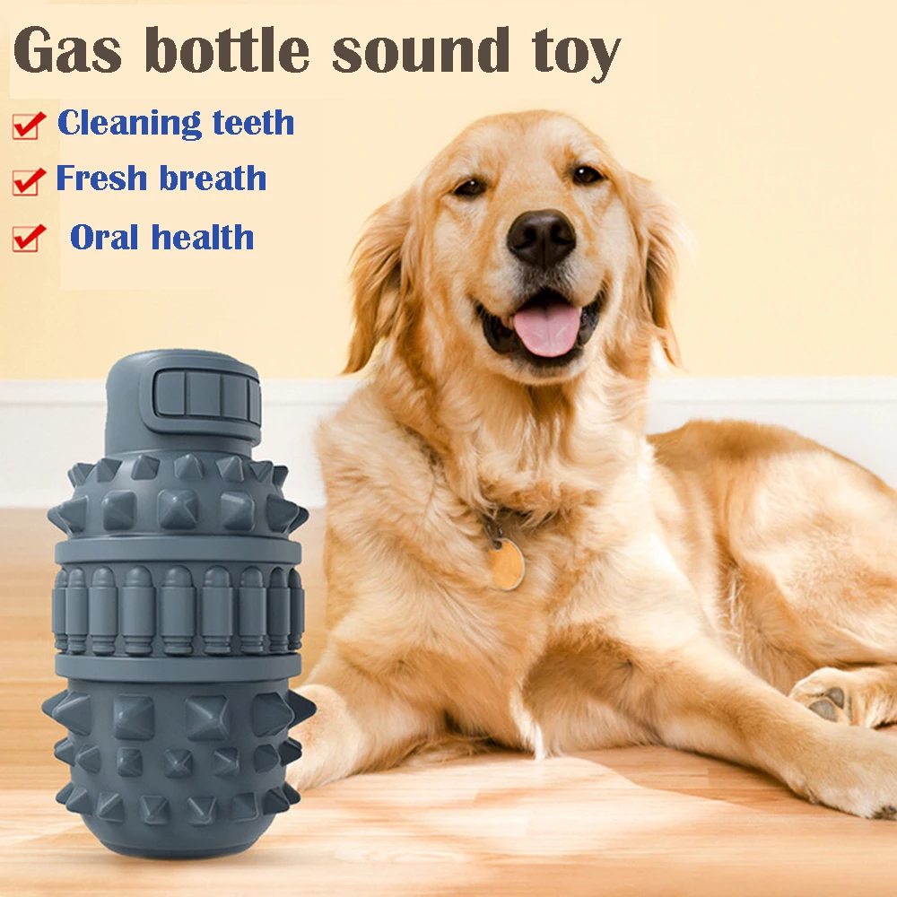 
Flat round squeaky insert cactus dog interactive toy 