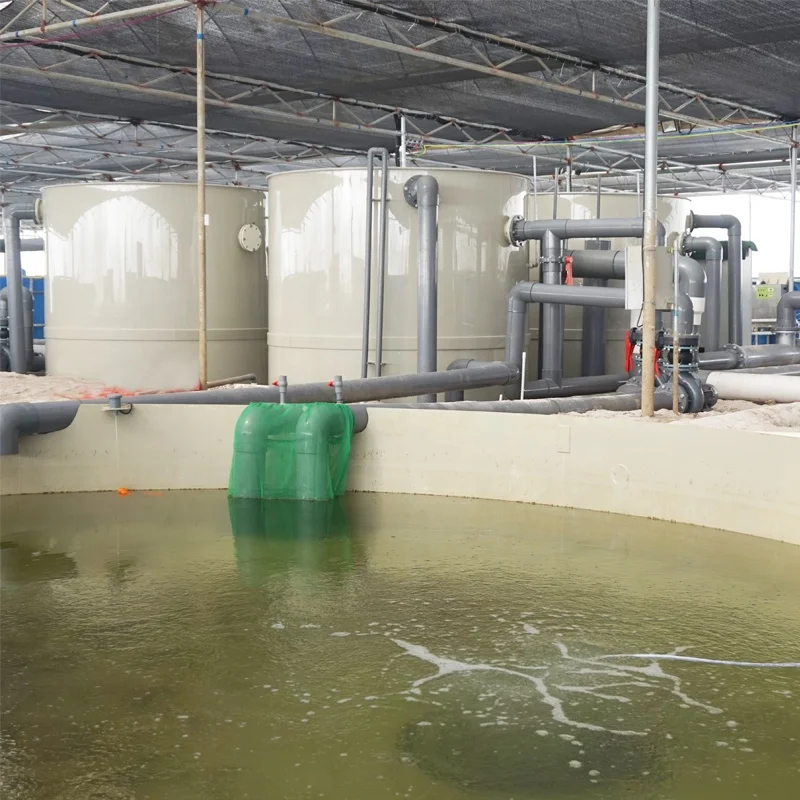 Ewater aquaculture tilapia farming system indoor RAS Cobia Fish Project in Australia