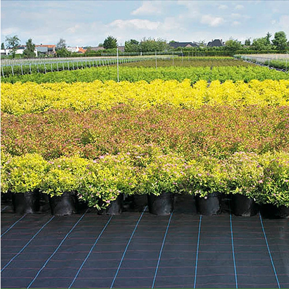 Wholesale Agriculture Ground Cover Plastic Fabric Weed mat