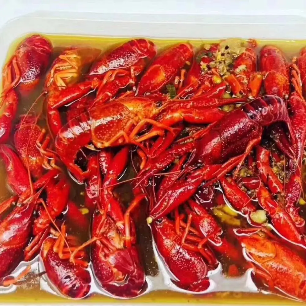 Red claw live frozen lobster(crayfish)  for sale