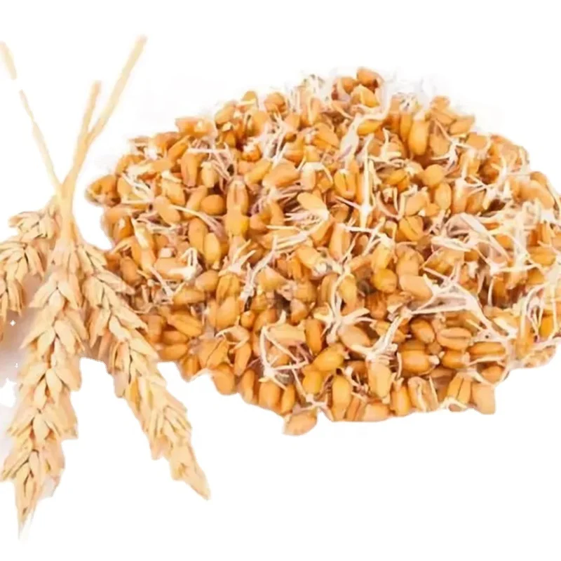 Malt flavour for Drinks,Food Flavour,fruit beverage