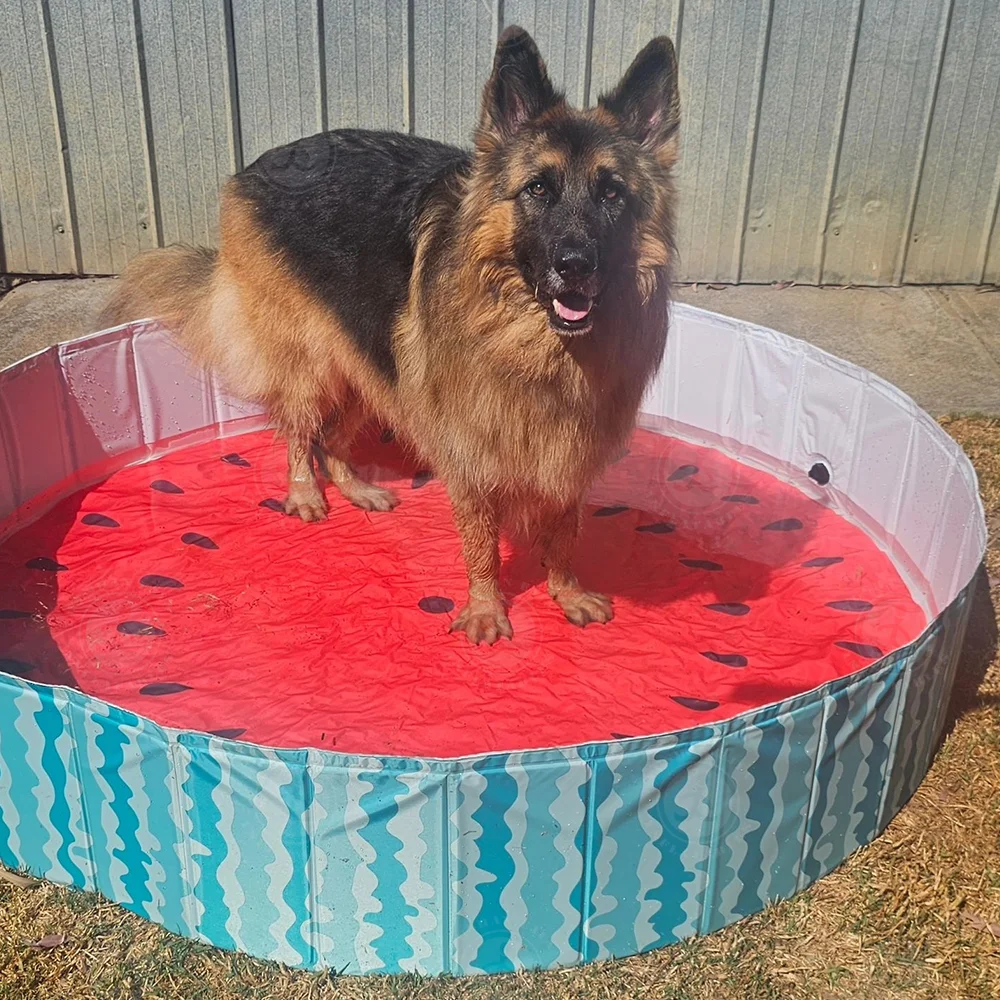 Factory Price Round Pet Dog  Cleaning Pool Foldable Dog Cat Swimming Pool Garden Swimming Pools For Dog