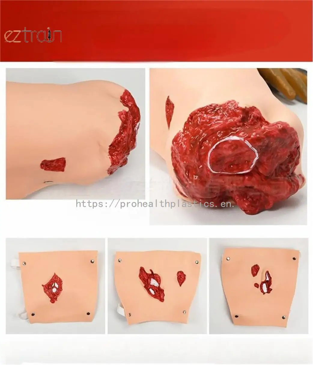 Advanced Fully Functional Medical Science Trauma Care Manikin for Trauma Training