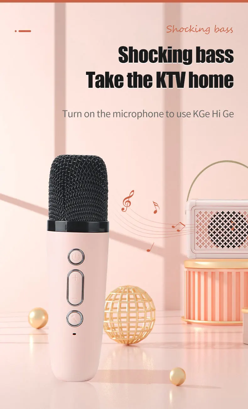 Portable New Stylish Small Party Karaoke Speaker Set With 2 Wireless Microphone
