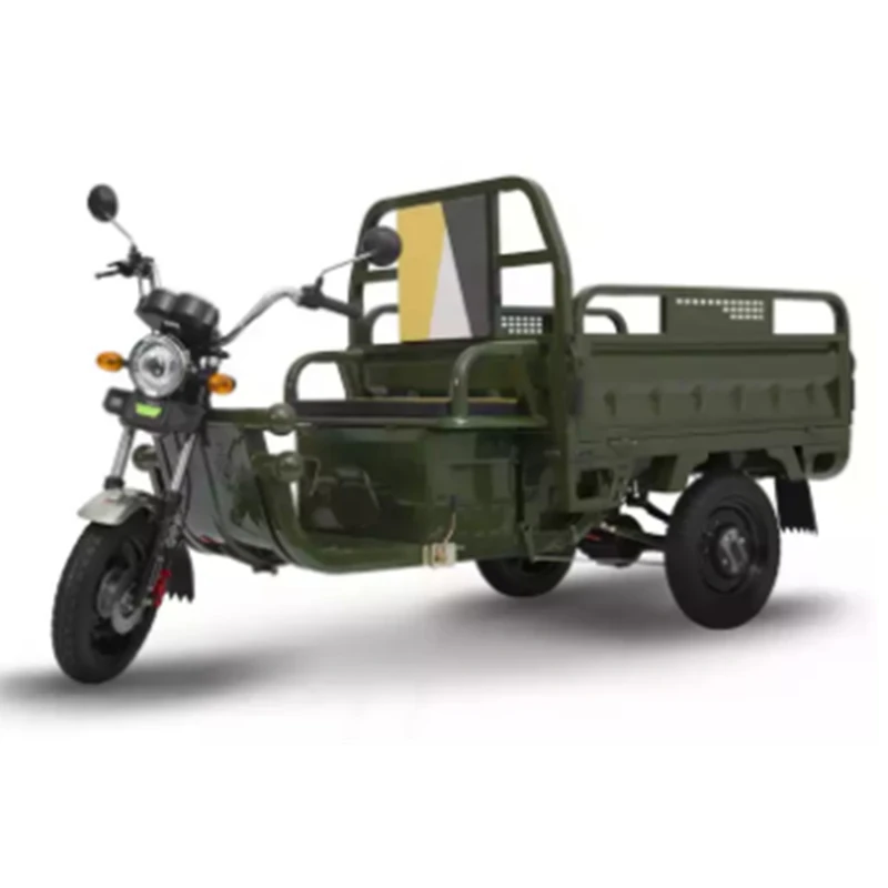 High quality Favorable Long Endurance Electric New Design Fully Automatic Lifting Electric Cargo Bike Tricycle for Cargo