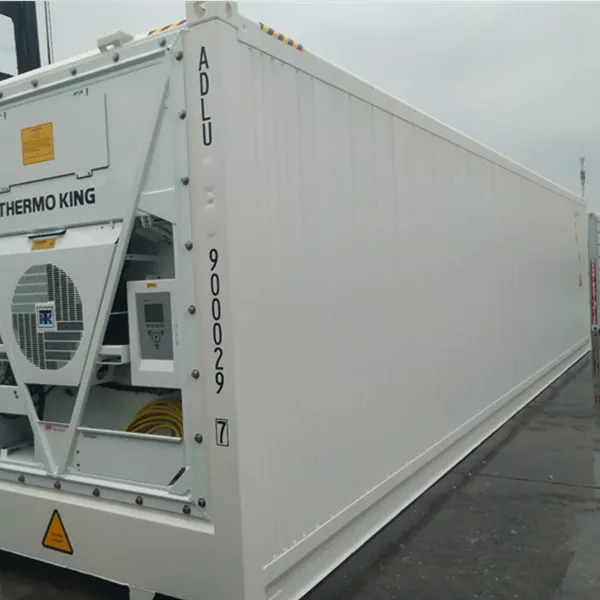 Refrigerated Freezer 20ft 40ft Reefer Container Price for Sale Container Cold Room