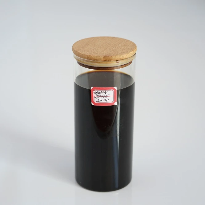 Liquid Seaweed Extract With High Alginic Acid