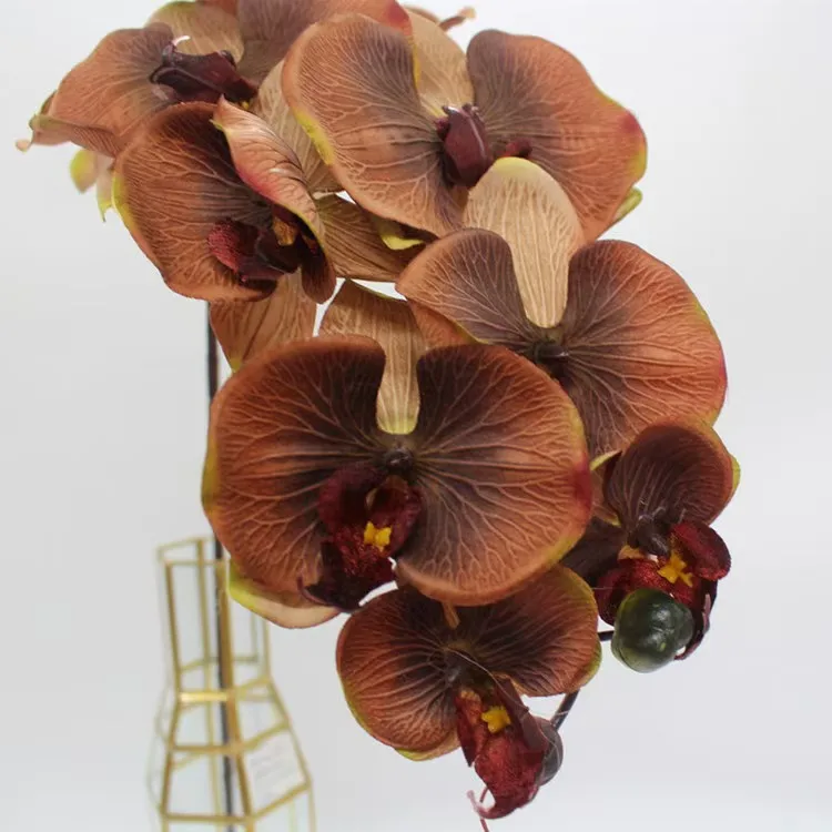 Wholesale Real Touch Phalaenopsis Artificial Flowers Phalaenopsis 10 Head Silk Cloth Home Decoration Wedding Supplies