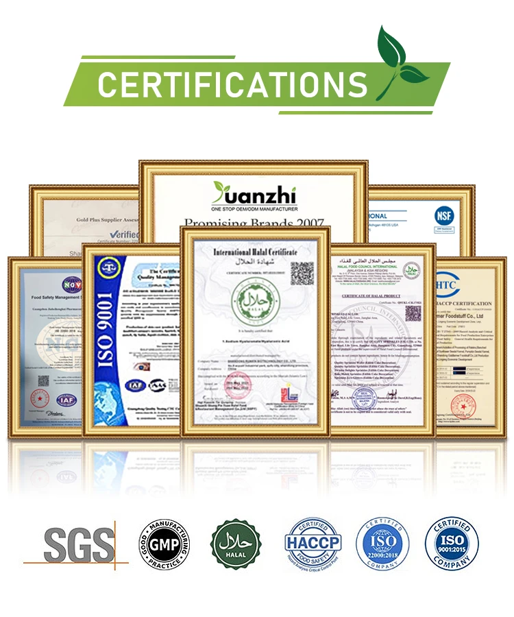 Custom Private Label Vitamin B6 B12 Gummies 2000 mcg Methyl B12 Brain Nerve System Energy Support Multivitamin Supplements