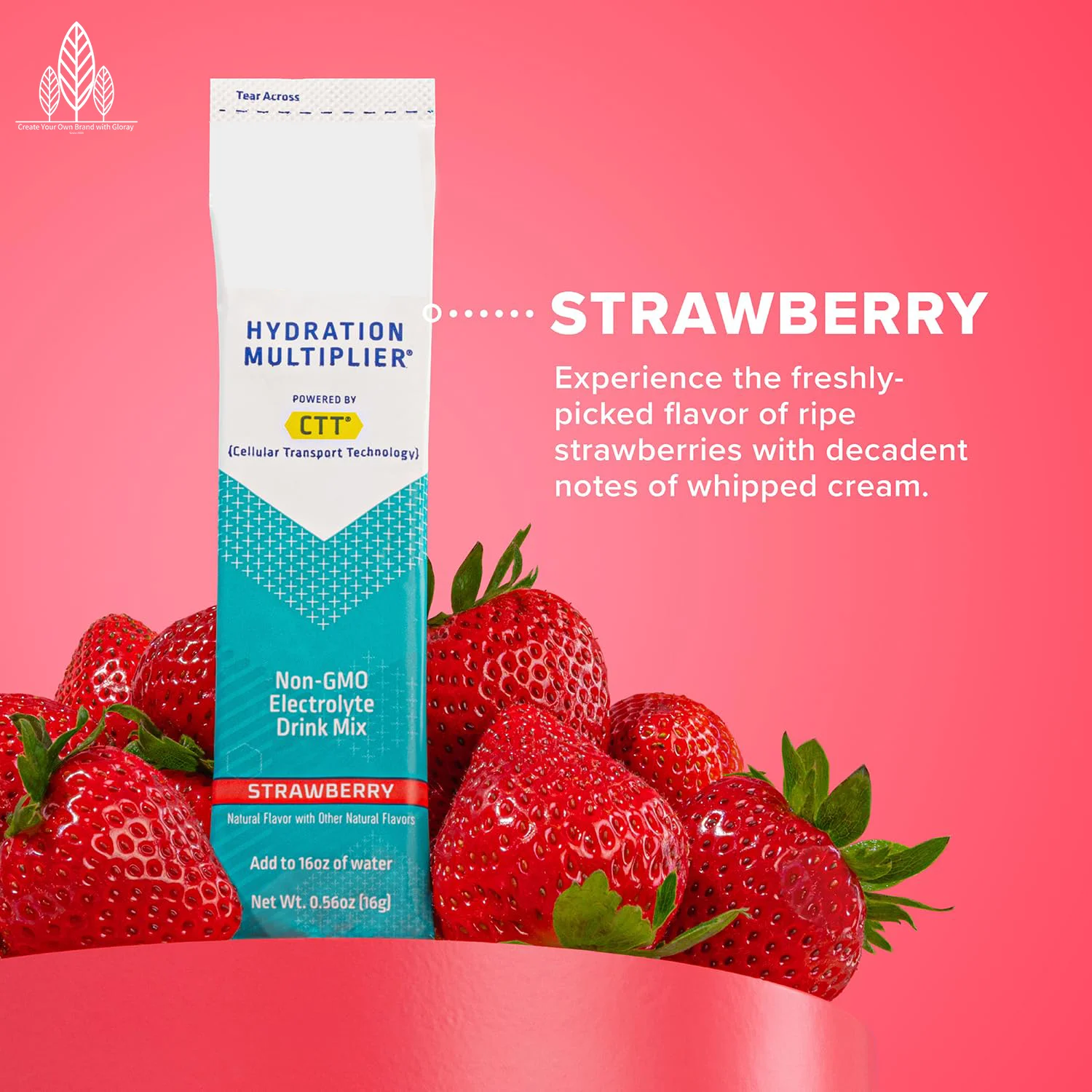 Hydration Multiplier Variety Pack 4 Flavors Lemon Lime Passion Fruit Strawberry Tropical Punch Electrolyte Drink Mix Recovery