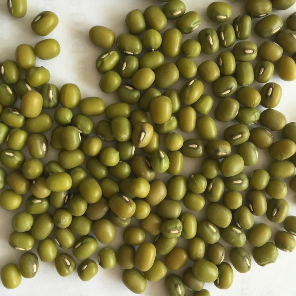 organic green mung bean (1600534255423)