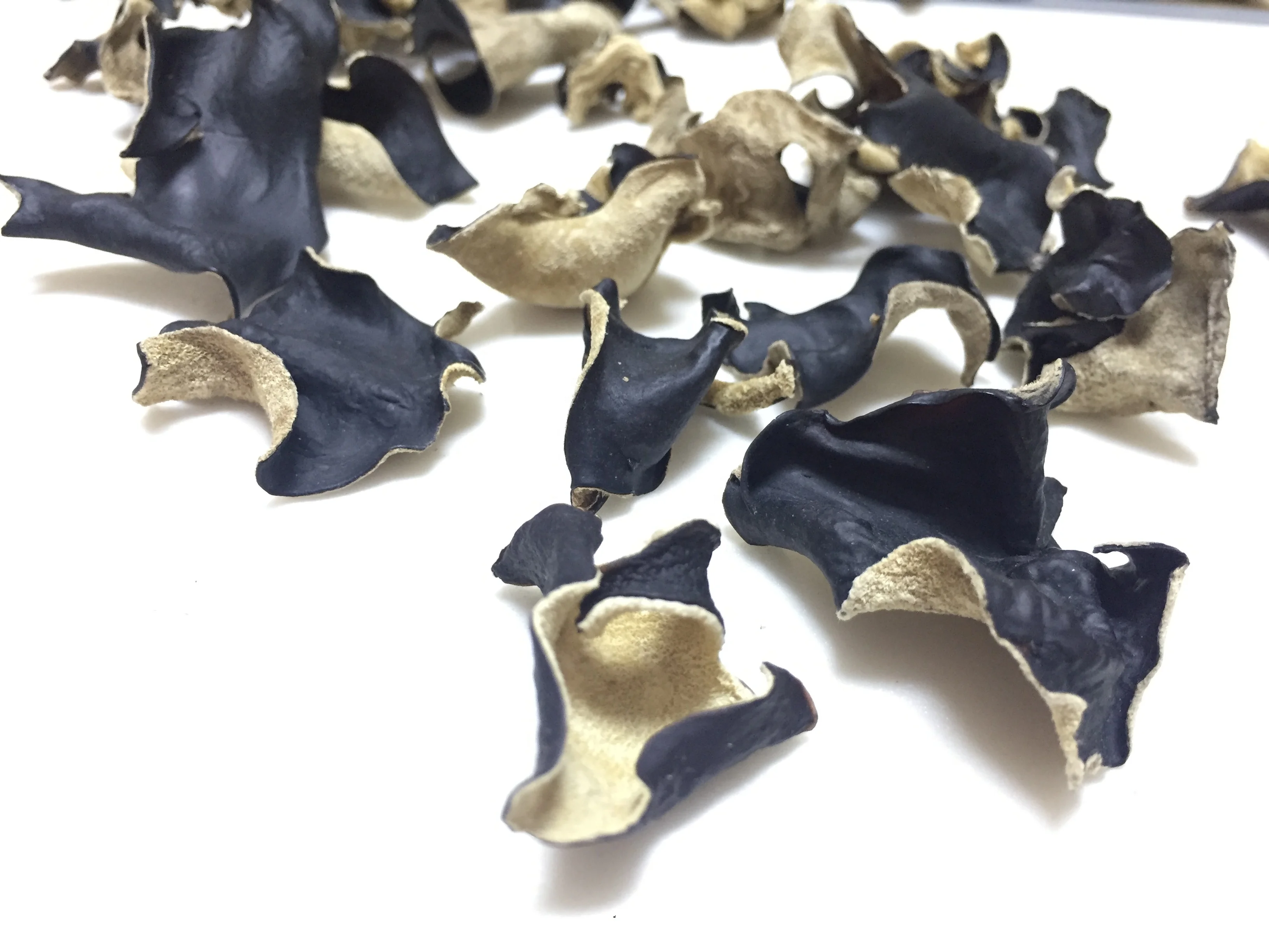 Factory Price Premium Quality Washed Dry Black Fungus Mushroom and White Back Fungus (Within 5 CM )