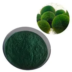 Wholesale a high-quality green nutrient source food nutrition additive providing high content of protein Chlorella powder