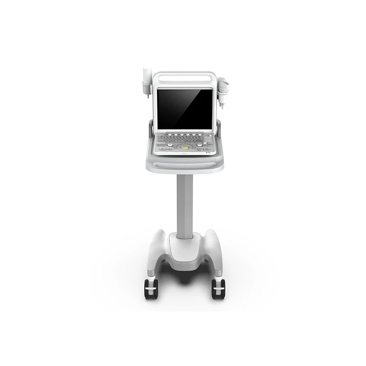 
 China Professional Manufacture Optional Convenient Color Ultrasound  