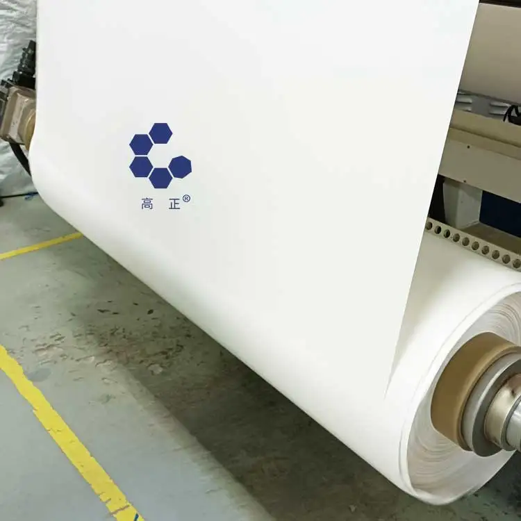 Tremendous chemical resistance PVDF cast film for solar panels