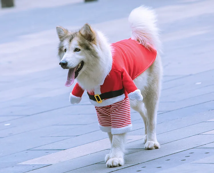 Small Large Dogs Pet Cat Christmas Santa Claus Clothes Warm Outfit Costume,S