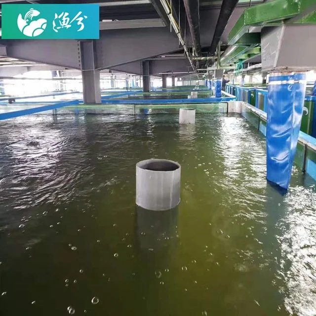 
Indoor fish farm / Intelligent Circulating Water Aquaculture Monitoring System 