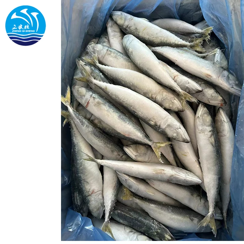 Seafood  manufacturer  Wholesale Fresh frozen Light catching IQF mackerel fish