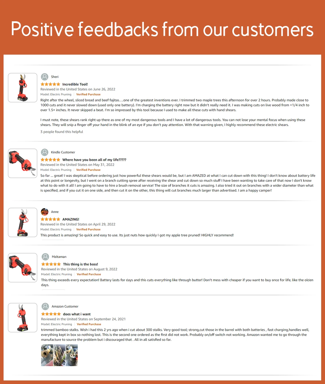 Amazon hot Electric Pruning Shears 1.2 (30mm)Cutting Diameter With 2 Pack 21V chargeable Battery SK5 Blade For Gardening