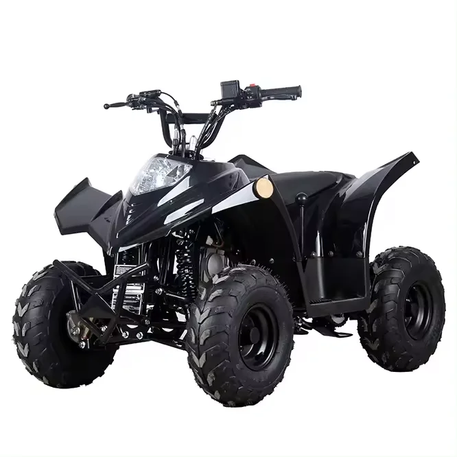 Aotong Four-wheel Beach Buggy  Four-wheeler Quadbike  Adult ATV 110 Customized Automatic  Teen Atv 125cc Atv 110cc
