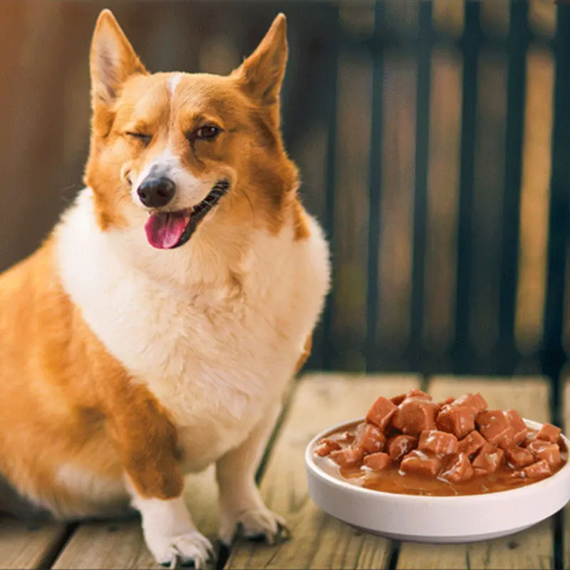 
High Quality different flavors wet canned pet food/wet dog food 