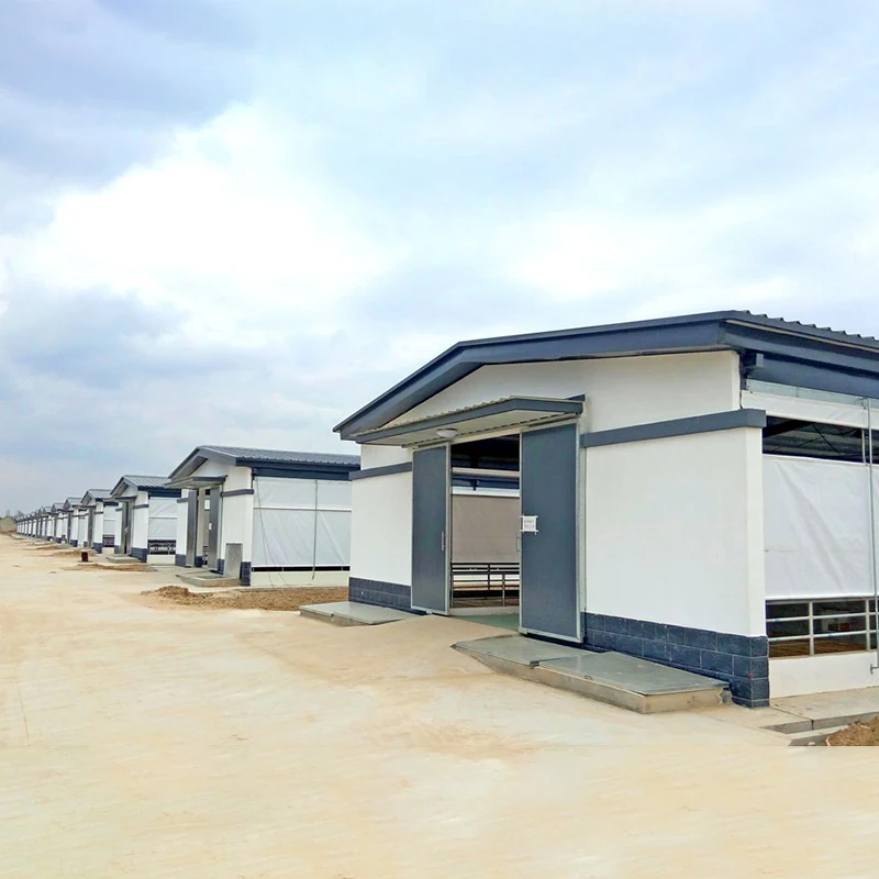 Commercial Steel Structure Chicken Houses Professional Design Of Chicken Coops 1000 Chicken