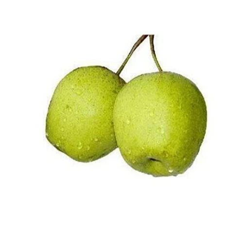 Factory Direct Wholesale Natural Organic Fresh China Pear Fruit Price